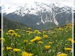 Gletscherblick (DZ) Gletscherblick (DZ) Bild