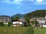 Eckwirt-Linde in St.Primus - Gasthof Pension Eckwirt St. Kanzian