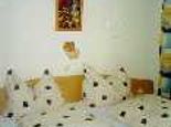 zimmeransicht bett