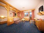 Studio Schatzberg - Das Landhotel & Vital TIROLERHOF Wildschoenau