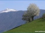 Aussicht - Gasthof Waldemar Nassfeld - Hermagor - Pressegger See