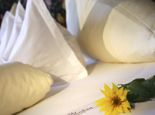 Doppelzimmer Typ A Doppelzimmer Typ A Grundriss