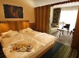 Hotel Lac Salin SPA & Mountain Resoirt Junior Suite Image