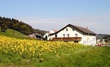 Höfler Gasthof Kapfenstein