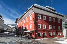 Orso Grigio Grauer Bär San Candido