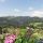Ausblick im Sommer - Hotel Landhaus Marchfeld Wildschoenau