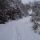 Gasthof Donaublick Bild