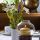 Hotel Landle Gasthof Galtuer
