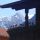 Alpenblume Laengenfeld 
