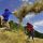 Urlaub am Bauernhof - Spielplatz Natur - Urlaub am Bauernhof Steiermark