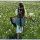 Sommer