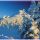 Winter - Europa Wanderhotels