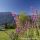 Urlaub am Biobauernhof