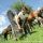 Holidays on a Horseback Riding Farm
