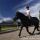 Holidays on a Horseback Riding Farm