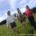 Holidays on a Horse Farm