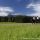 Holidays on a Horse Farm - Urlaub am Bauernhof mit Reitmoeglichkeit
