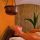 Ayurveda