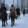Maho Pferde im Winter