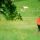 nordic walking