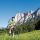 Radfahren im MondSeeLand - Mondsee - Irrsee Oberoesterreich