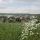 Frühlingsidylle - Oberpullendorf Burgenland