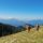 Wanderbares Gesaeuse