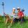 MörbischNordicwalking - Moerbisch am Neusiedler See Burgenland