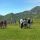 Familienwandertag - Kögele - Rosskogel - Oberperfuss Tirol