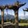 Geisterwanderweg- Rest. Sulzstich - Inntal - Oberperfuss Tyrol