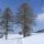 Winterwanderweg - St.  Stefan  am  Walde Upper Austria