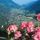 Blick nach Obervellach 