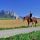Reiter mit Traunstein im Hintergrund by erlas