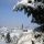 Pinsdorf im Winter