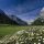 Alpenpark Karwendel