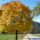 Herbst in Pertisau am Achensee