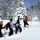 Kartitsch Tirol