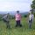 wandern