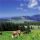 Almenland - Oststeiermark Stiria