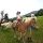 Familienwanderung
