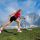 Ideale Lauf- und Nordic-Walkingstrecken