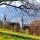 Frühlingswiese mit Blick auf Stift Schlierbach - Schlierbach Oberoesterreich