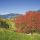 Ranggen - autumn - Ranggen Tirol