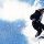 Snowboarder - coll - Mostviertel Niederoesterreich