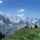Gemsen - Tirol - Tirol