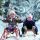 Thomasegg, Zirl - Tirol