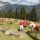 Ferienregion St. Anton am Arlberg - Almen - St. Anton am Arlberg Region Tirol