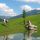 Alpbachtal Seenland Bild für Fotogalerie