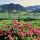 Vallee d'Alpbach Tirol