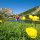 Alpbachtal Seenland Bild für Fotogalerie - Alpbachtal Tirol